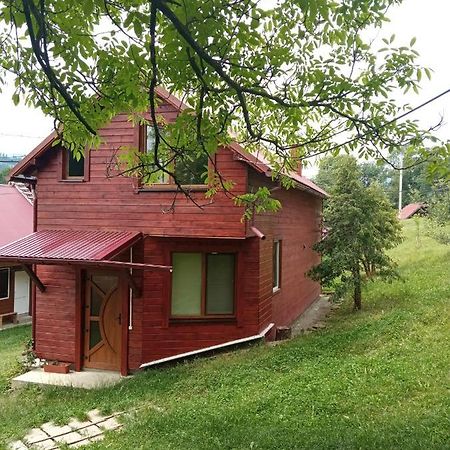 Котедж "Барвінок" Verkhovyna Extérieur photo