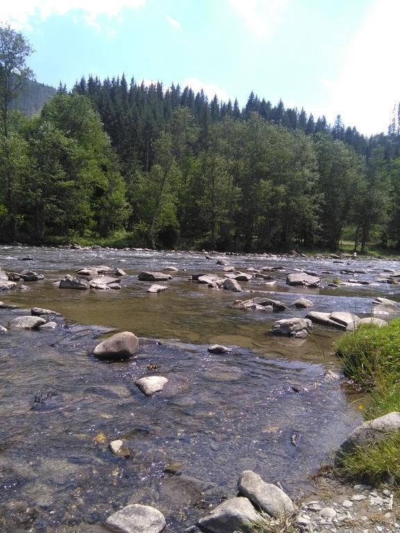 Котедж "Барвінок" Verkhovyna Extérieur photo
