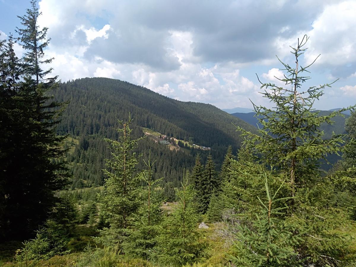 Котедж "Барвінок" Verkhovyna Extérieur photo