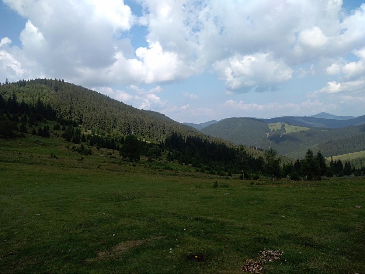 Котедж "Барвінок" Verkhovyna Extérieur photo