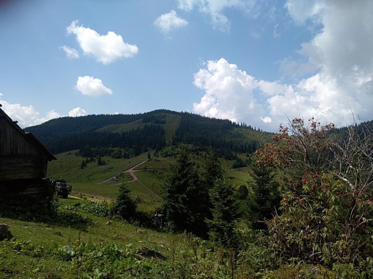 Котедж "Барвінок" Verkhovyna Extérieur photo